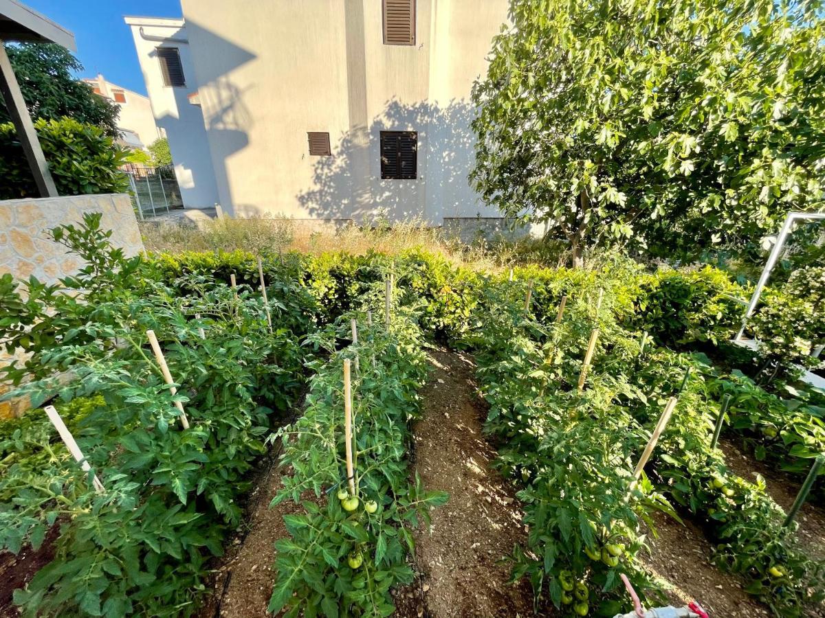 שיבניק Apartments Sime מראה חיצוני תמונה